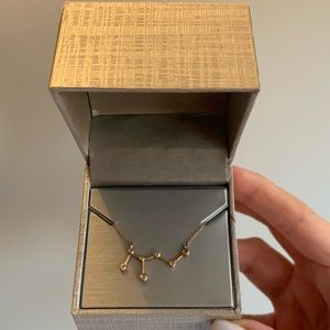 1/20 CT. T.W. Diamond Leo Constellation Bezel-Set Necklace in 10K Rose Gold.